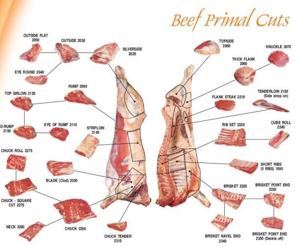 Meat cuts - Template - BBQit BBQ Hog, Lamb and other big ... wild pig anatomy diagrams 
